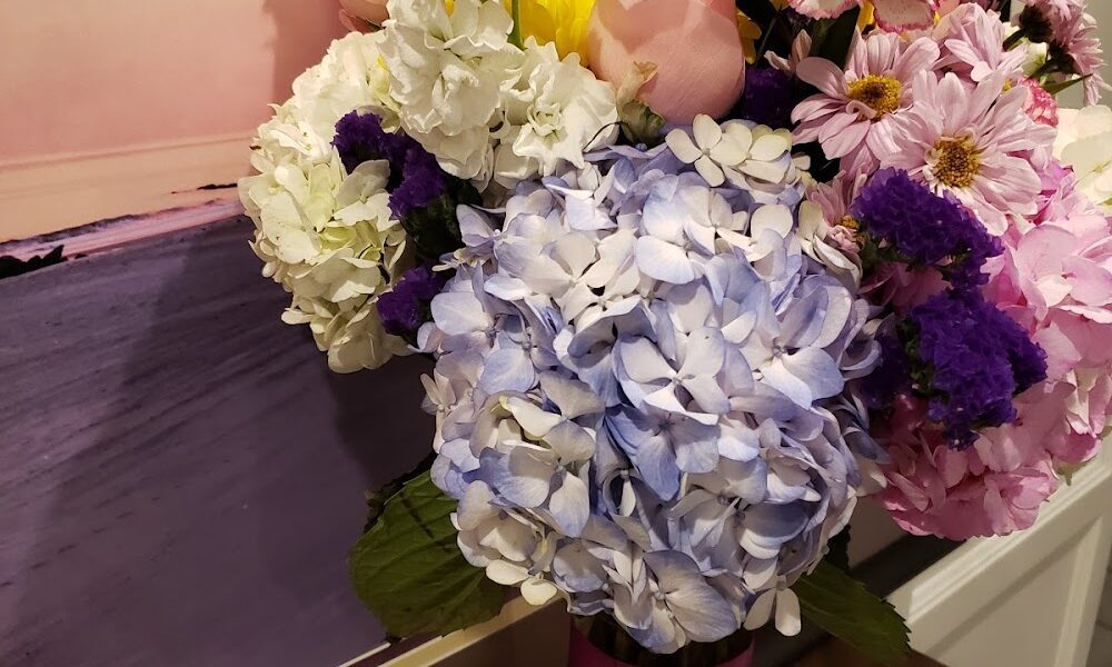 Argyle Flower & Garden