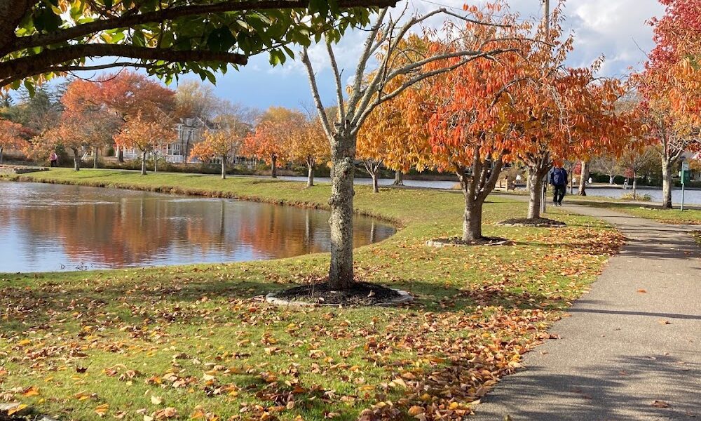 Argyle lake park