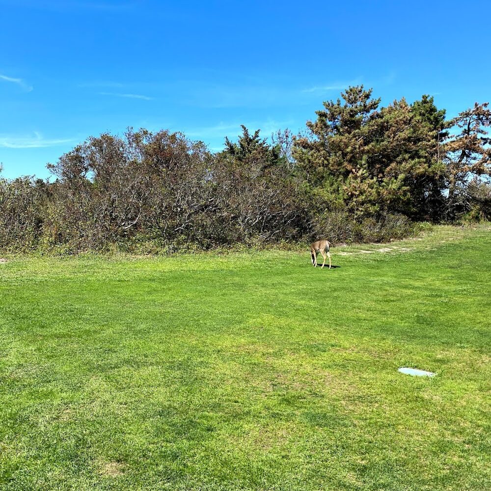 Robert Moses State Park Pitch and Putt Course