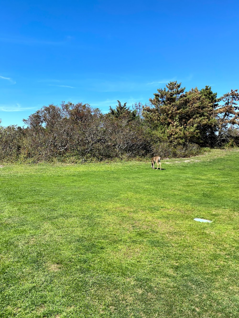 Robert Moses State Park Pitch and Putt Course
