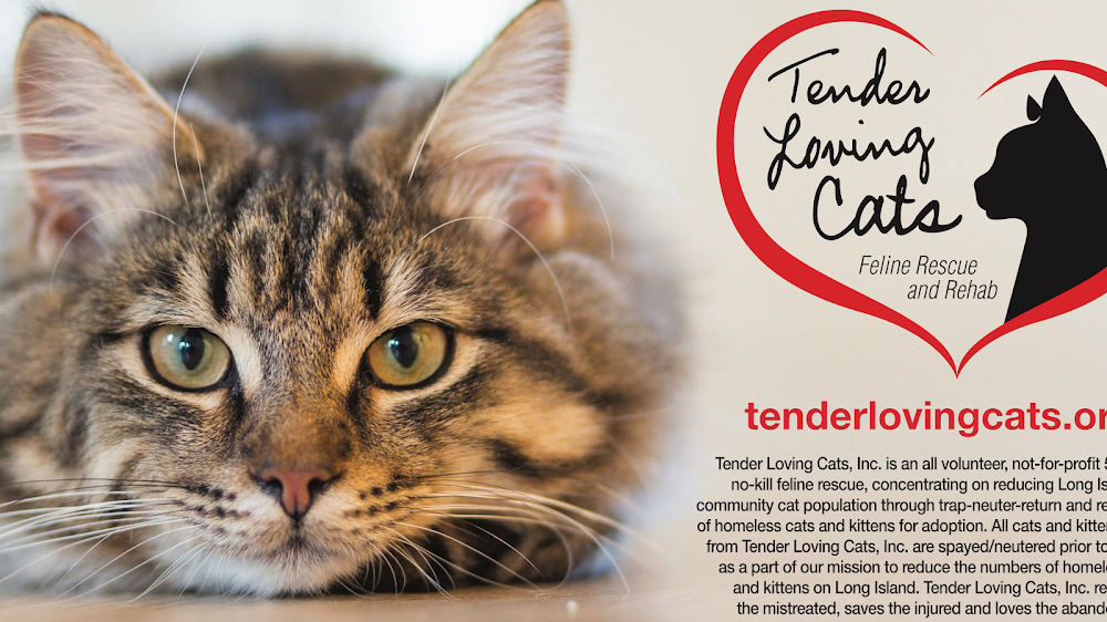 Tender Loving Cats, Inc.