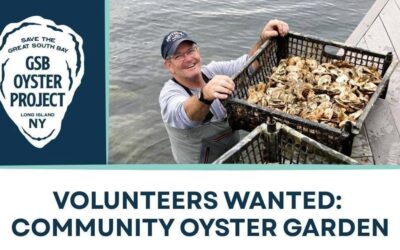 Baymen, Baskets & Baby Oysters: Restoring a Legacy on the Great South Bay