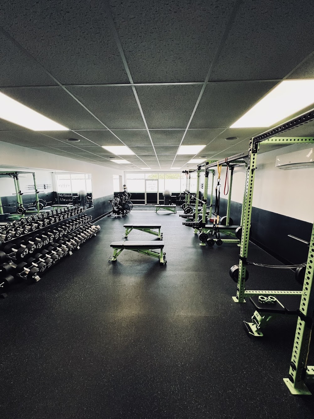 Apex Training & Performance