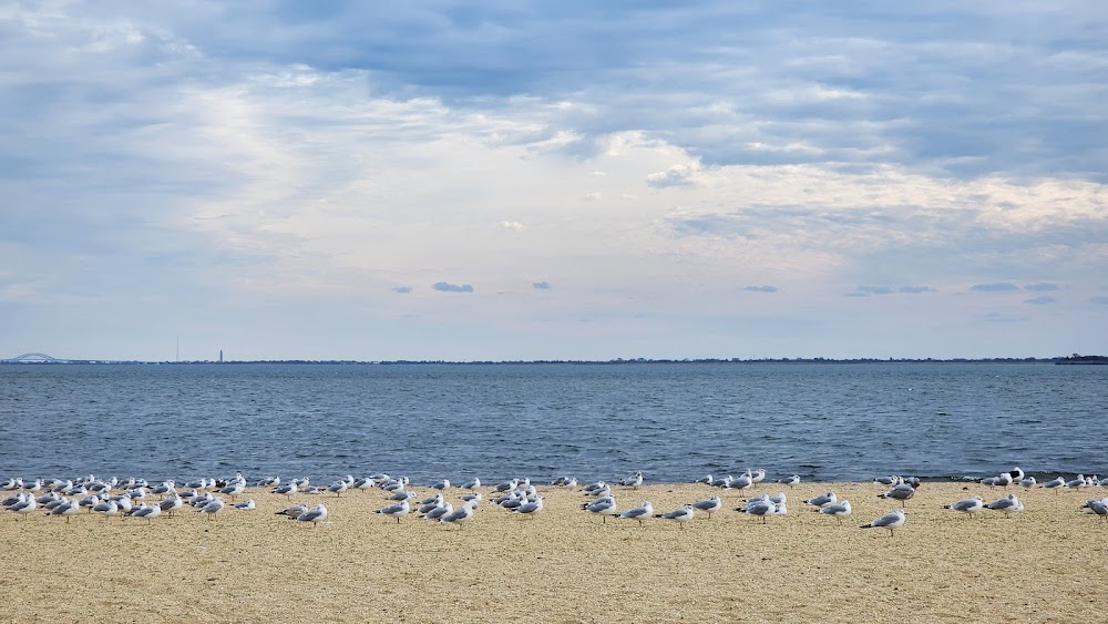 Venetian Shores Workout Station