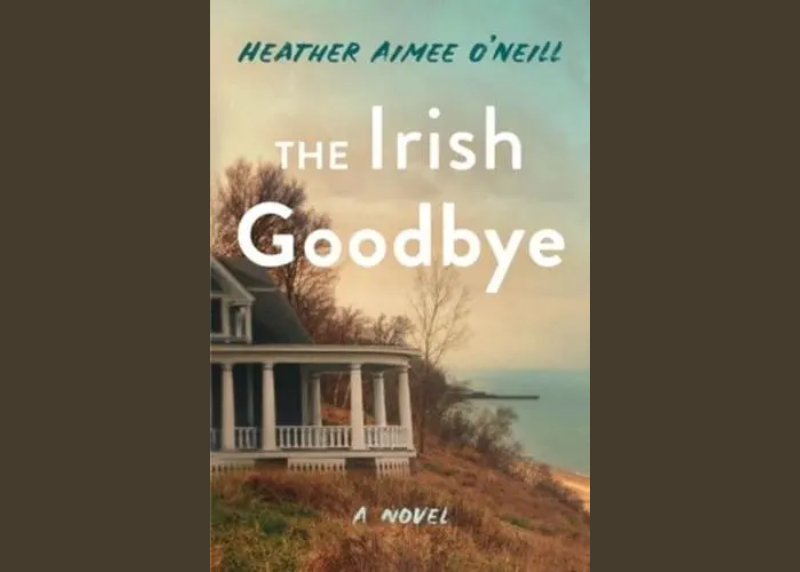 Afternoon Book Discussion