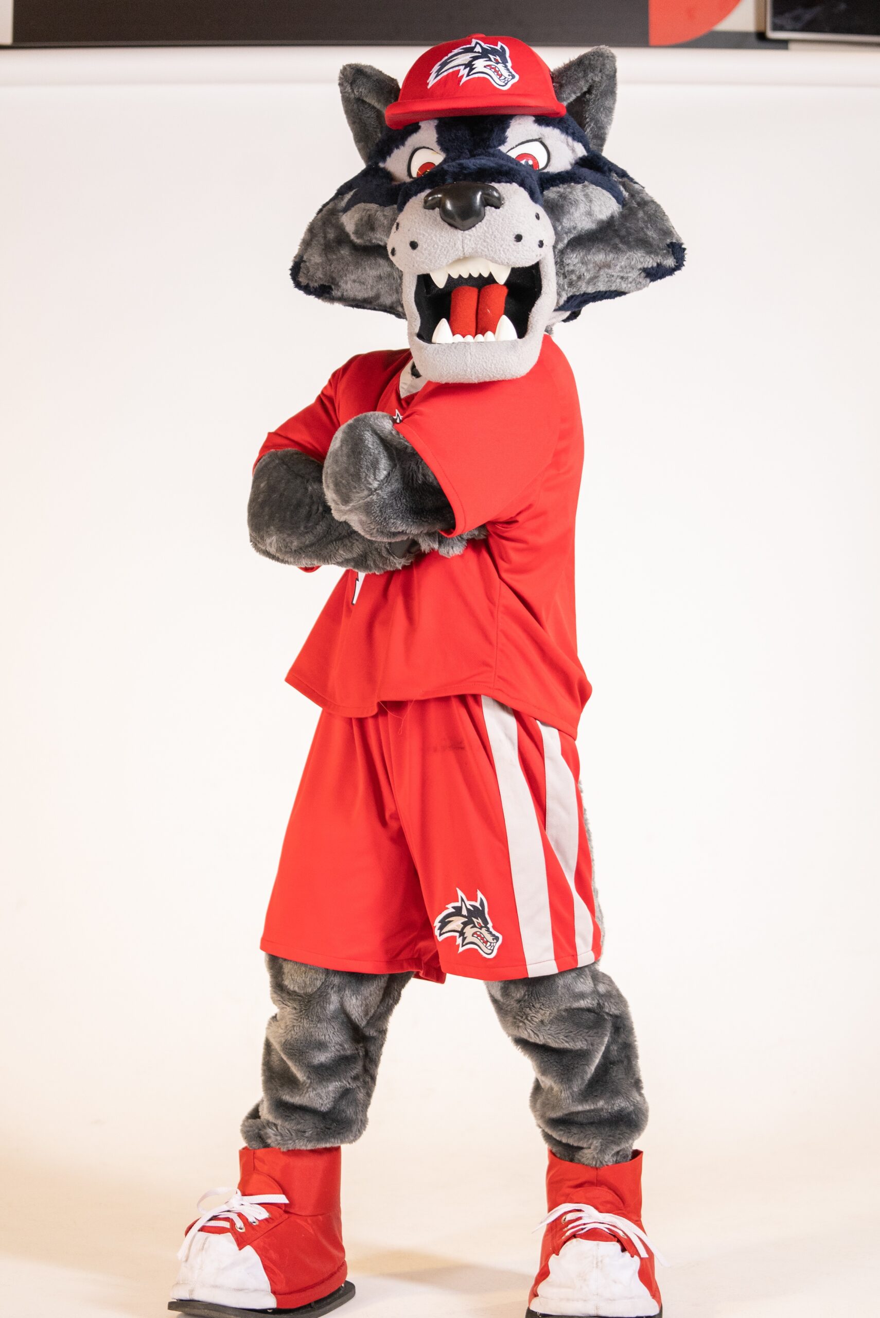 Paint Portraits: ‘Wolfie’ & Stony Brook University — image supplied on organizer event page